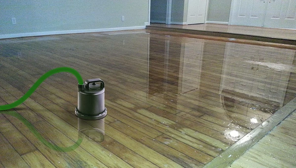 Tallas Vlakke Onderwaterpomp E 160 NA, Vlakke Aanzuiging Tot 3 Mm, 90 Watt 5 Tallas Vlakke Onderwaterpomp E 160 NA, Vlakke Aanzuiging Tot 3 Mm, 90 Watt - Image 5