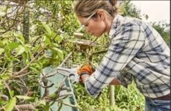 Stihl Accu Mini Kettingzaag SET - Snoeischaar - Snoeizaag - Hand Kettingzaag - Professioneel- Hovenier- Tuinman -Tuin Verkoop 1200x779