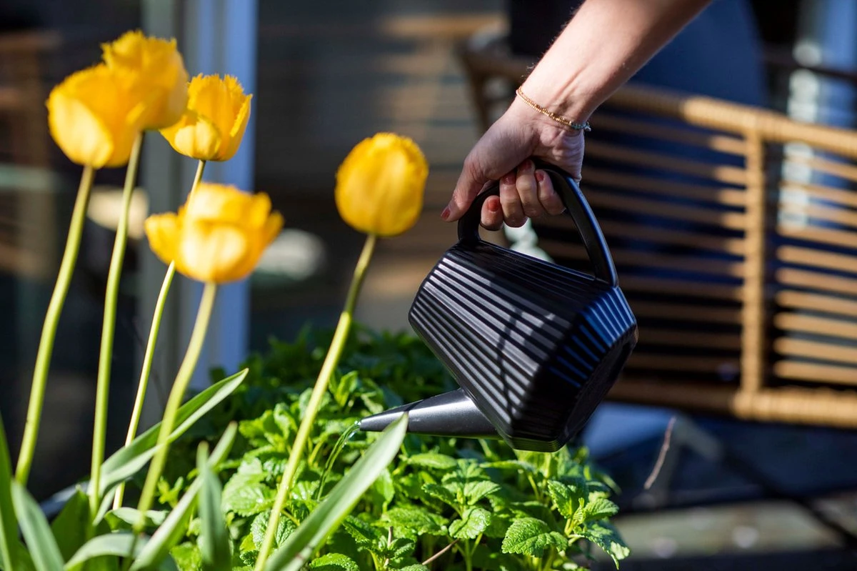 Xala - Gieter Doppio Groove 2L Olijfgrijs 3 Xala - Gieter Doppio Groove 2L Olijfgrijs - Image 3