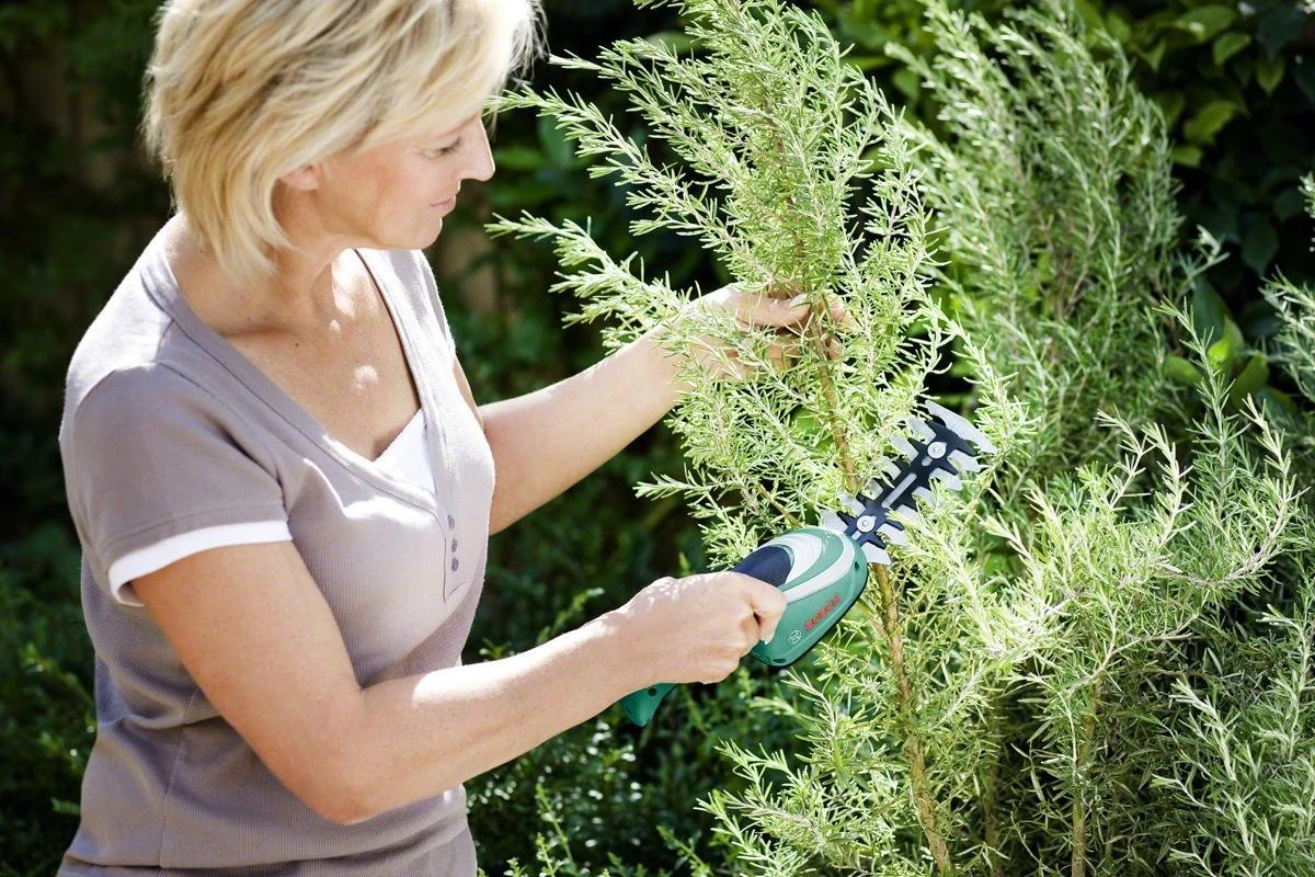 Bosch ISIO Gen III Accu Buxusschaar + Grasschaar 4 Bosch ISIO Gen III Accu Buxusschaar + Grasschaar - Image 4