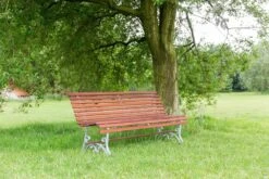 MaximaVida Tuinbank Budapest Oil 170 Cm - Uit Exclusief Mahoniehout -Tuin Verkoop 1200x800 130