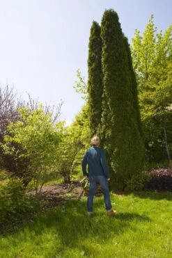 GARDENA TeleCut Heggenschaar - Telescopische Handgrepen Van 70-90 Cm 16 GARDENA TeleCut Heggenschaar - Telescopische Handgrepen Van 70-90 Cm -Tuin Verkoop 799x1200 3