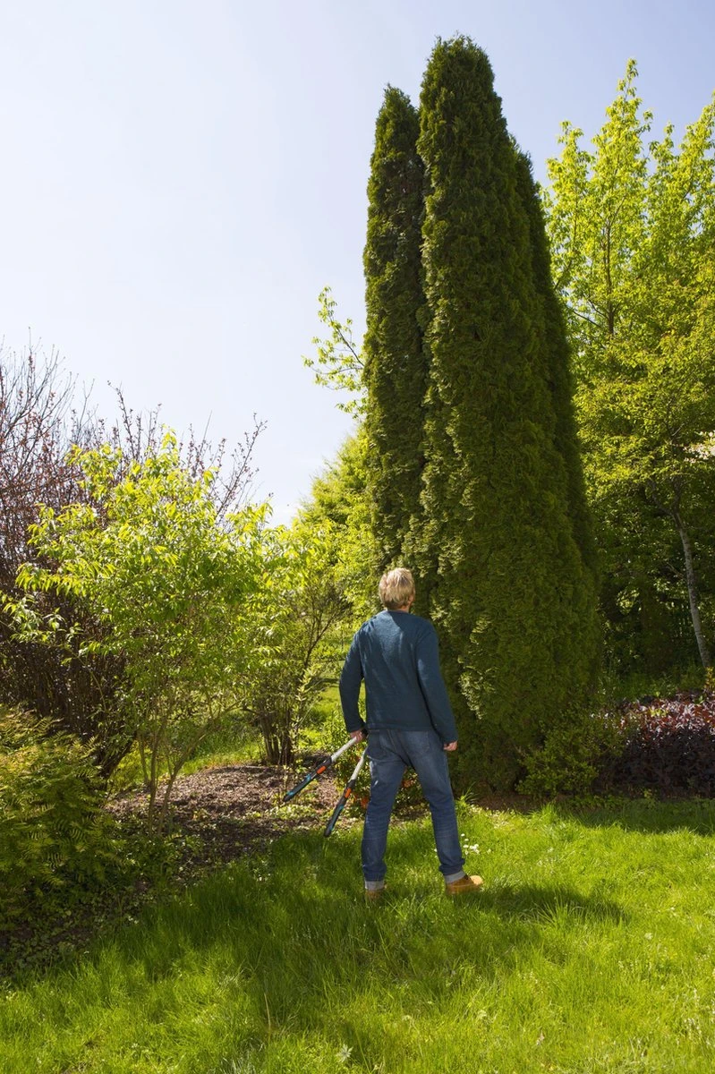 GARDENA TeleCut Heggenschaar - Telescopische Handgrepen Van 70-90 Cm 7 GARDENA TeleCut Heggenschaar - Telescopische Handgrepen Van 70-90 Cm - Image 7