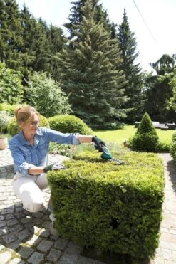 Bosch ISIO Gen III Accu Buxusschaar + Grasschaar 8 Bosch ISIO Gen III Accu Buxusschaar + Grasschaar -Tuin Verkoop 800x1200